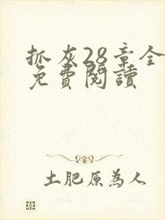 抓灰28章全部免费阅读