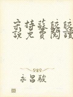 宋持苏皎皎的小说免费阅读