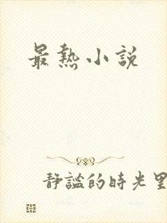 最热小说