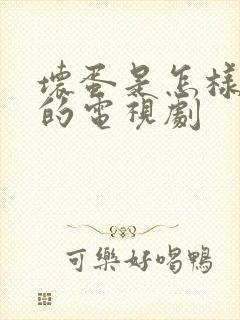 坏蛋是怎样炼成的电视剧