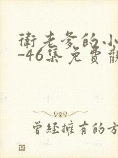 卫老爹的小船1-46集免费观看