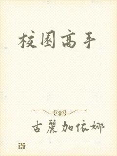 校园高手