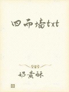 四面墙txt