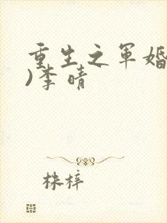 重生之军婚(h)李晴