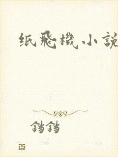 纸飞机小说
