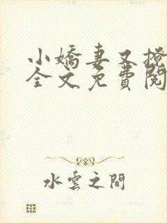 小娇妻又撩又甜全文免费阅读