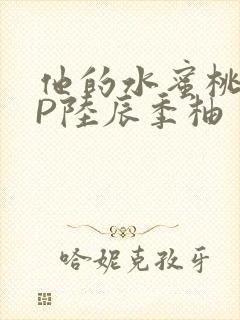 他的水蜜桃POP陆辰季柚