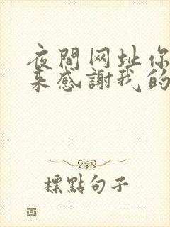夜间网址你会回来感谢我的