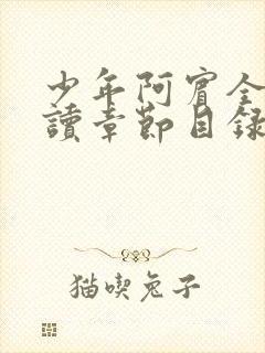 少年阿宾全文阅读章节目录