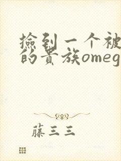 捡到一个被抹布的贵族omega