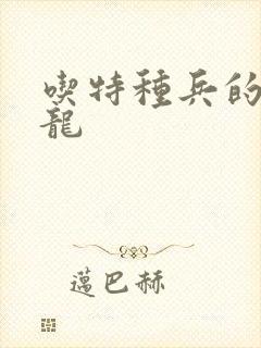 吃特种兵的大黑龙