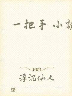 一把手 小说