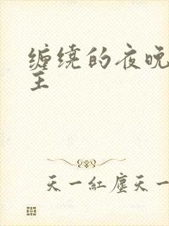 缠绕的夜晚双男主