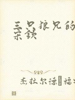 三只狼兄的宠妻宋钦