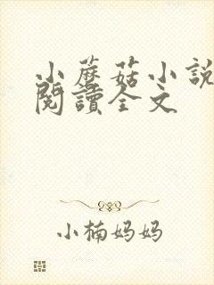 小蘑菇小说免费阅读全文