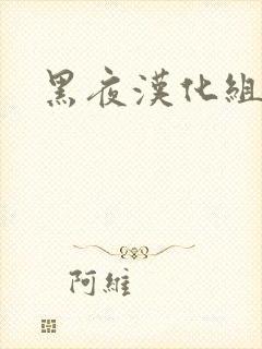 黑夜汉化组