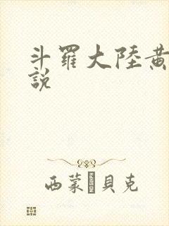 斗罗大陆黄色小说