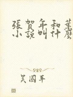 张贺年和叶繁姿小说叫什么名字