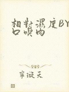 相对湿度BY大口吃肉