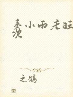 秦小雨老旺第一次