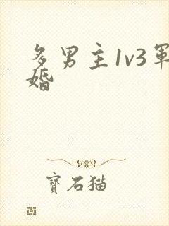 多男主1v3军婚