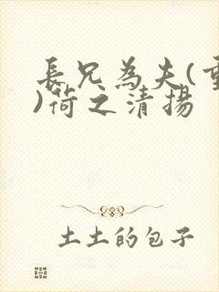 长兄为夫(重生)荷之清扬