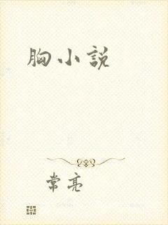 胸小说