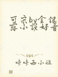 可宋by金银花露小说好看吗