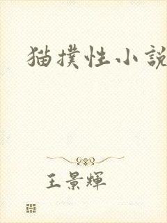 猫扑性小说