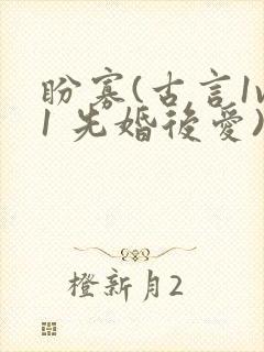 盼寡(古言1v1 先婚后爱)