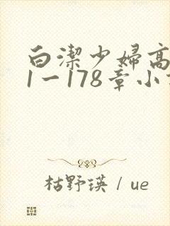 白洁少妇高义第1一178章小说