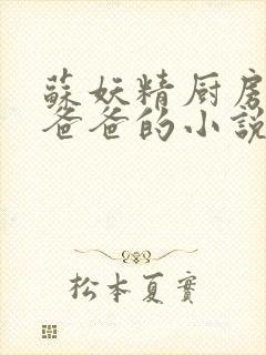 苏妖精厨房爹爹爸爸的小说