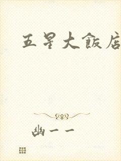 五星大饭店小说