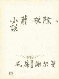 小萝 破除 小说