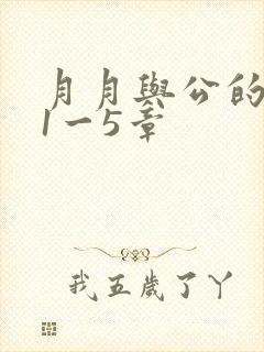 月月与公的激情1一5章