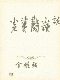 小清欢小说全文免费阅读