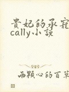 贵妃的承宠日常cally小说