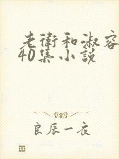 老卫和淑容1-40集小说