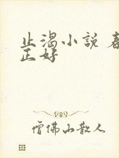 止渴小说 春光正好