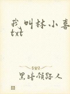 我叫林小喜小说txt