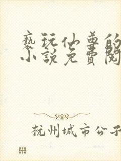 亵玩仙尊的道侣小说免费阅读