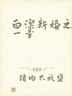白洁新婚之夜第一章