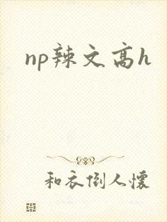 np辣文高h