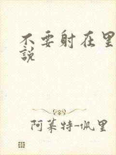 不要射在里面小说