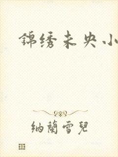 锦绣未央小说