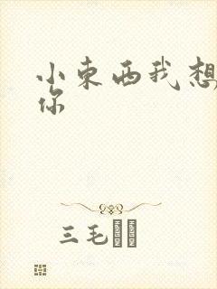 小东西我想弄坏你