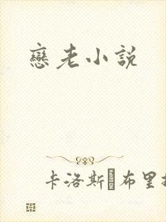恋老小说