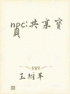 npc:共享宝贝