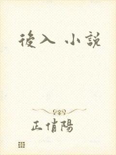 后入 小说