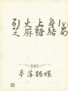 引火上身1v1芝麻糖结局